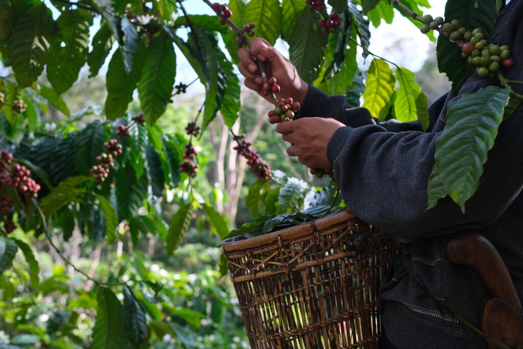 フェアトレード